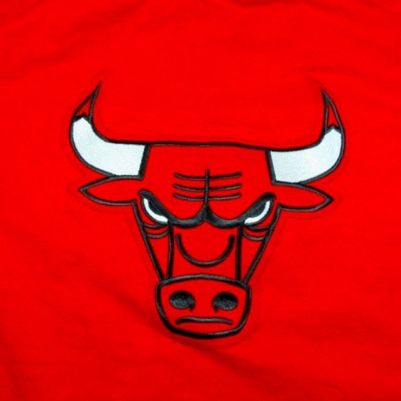 Vintage Champion mens Chicago Bulls sewn MJ Jordan Pippen shooting shirt XL - Picture 7 of 7